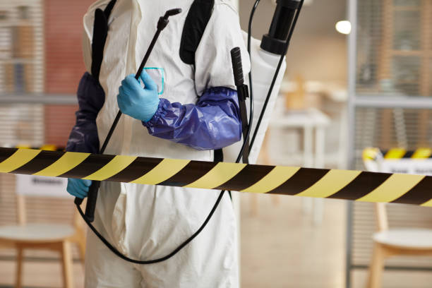Professional Odor Removal technician working in Coupland, TX